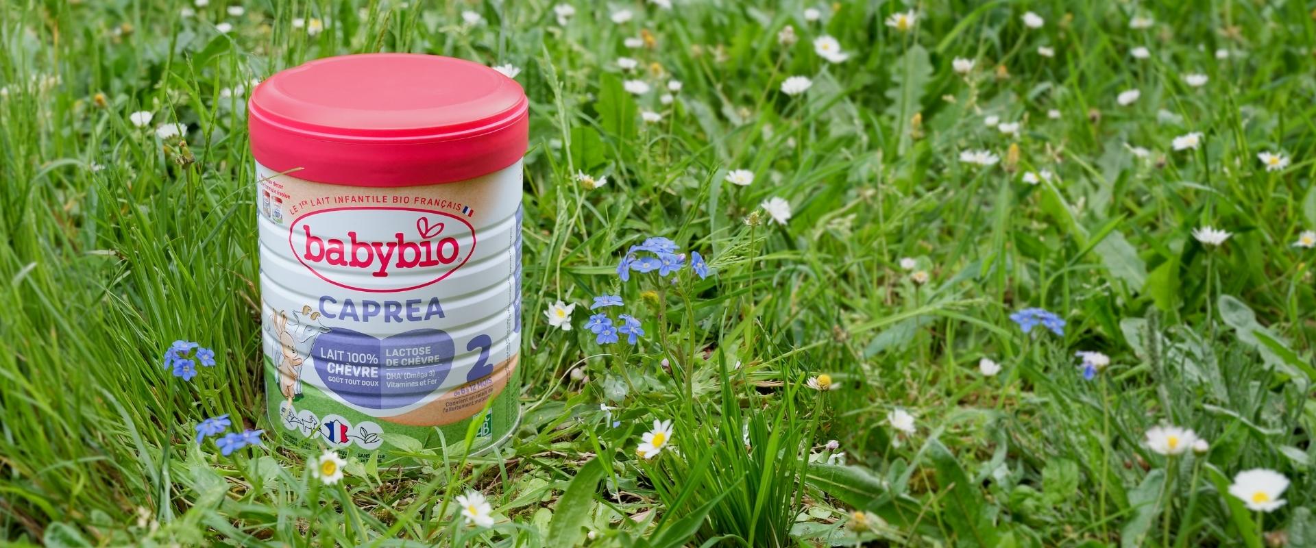 Un lait de chèvre bio [français] : on l’a fait !